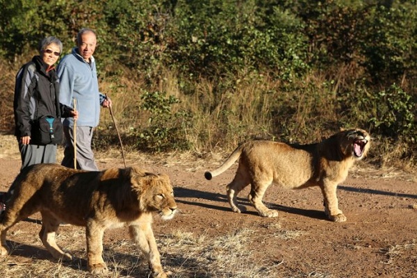 ��Ͳ�Τ����ָ��--���λ����ʨ������