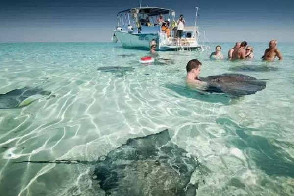 ����ϺͰͲ���ʮ�����ξ���--����ϵ��Ļ������