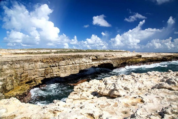 ����ϺͰͲ���ʮ�����ξ���--ħ����:����ϵ�ӡ��С����ҹ�԰