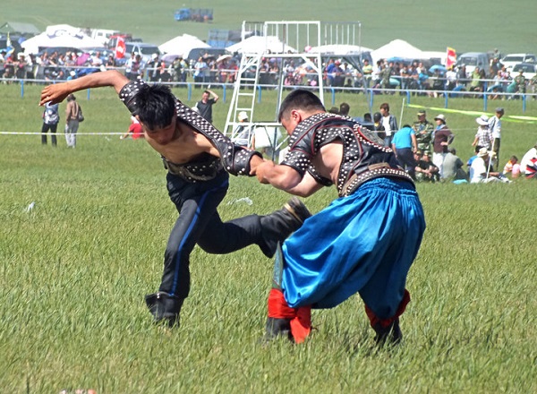 蒙古族传统节日一览--在古代，大草原上常以摔跤这种形式选拔英雄，蒙古贵族也常以这种形式选择女婿。因为在蒙古人的心目中，摔跤不仅是力量的展现，同时也是智力的较量。