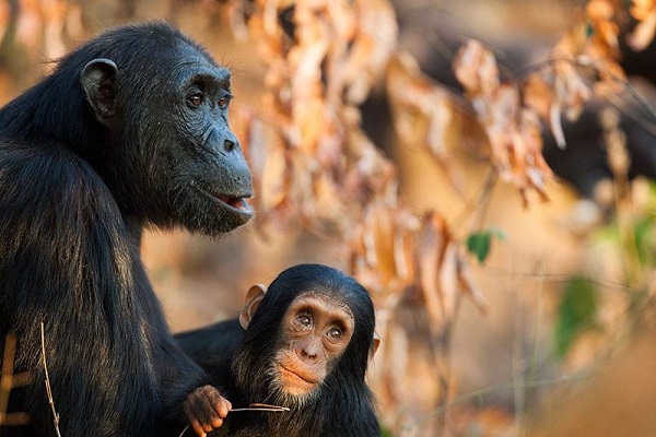 ̹ɣ����ʮ�����ξ���һ��--�Ա��ӹ��ҹ�԰��̹ɣ������С�Ĺ��ҹ�԰,����һ�������ε���խ�ش��������ɿ���������վ���ڶ��͵�б���Ϻ͵��ݵĺӹ���.