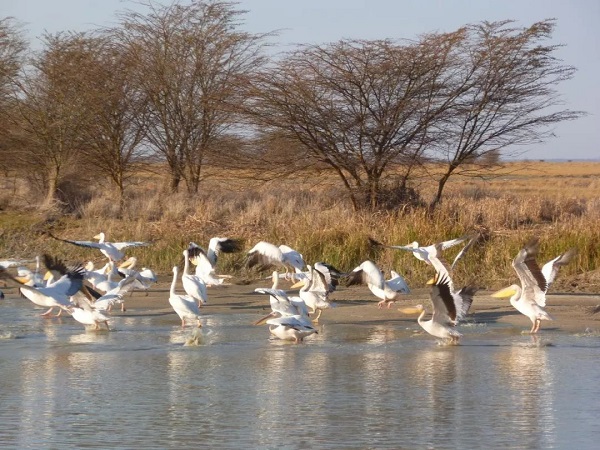 ̹ɣ����ʮ�����ξ���һ��--³��ൺ���ҹ�԰​��ˮ���ɾ������ߵ�ɳ����ԭʼɭ������������Ҳ�洦�ɼ������ء��١��ں���������ֳ�����أ��Լ����������ڼ���ǧֻŷ�Ǻ��񣬷�ӵ������